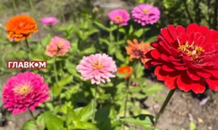 Прогноз синоптиків на «бабине літо» в Україні