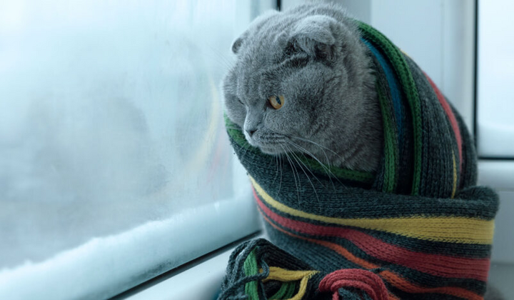 Заснеженное село в зимнем пейзаже