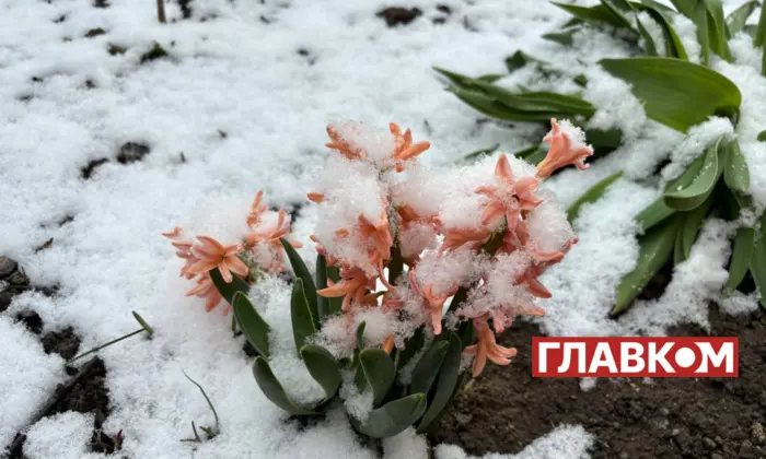 Снегопад в Украине в апреле