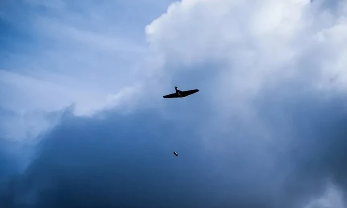 Український безпілотний «бомбер» в дії
