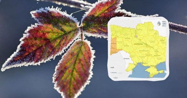 Заморозки в Україні 3–4 жовтня