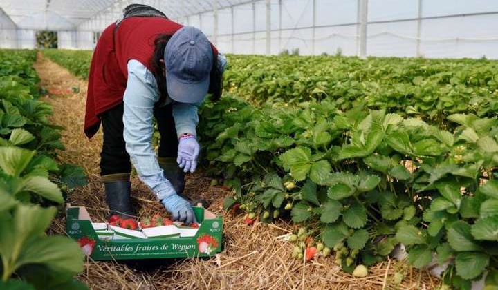 Українських учителів їдуть до Польщі
