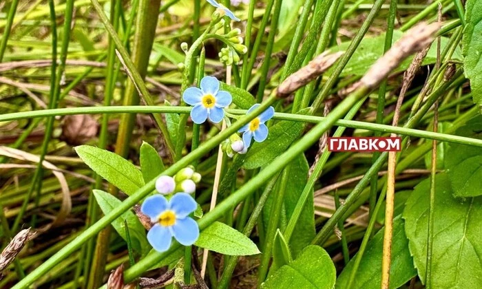 Погода без опадів на 30 серпня