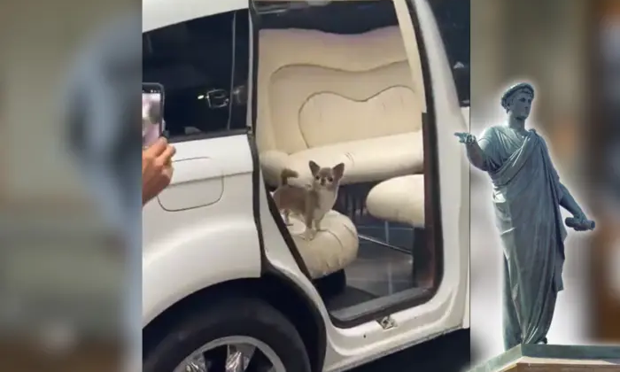 Люксовый лимузин и шикарный ресторан