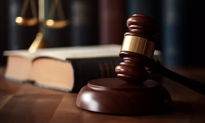 TikTok Video as Evidence in the Case