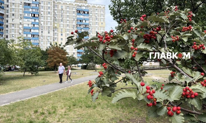 Облачно без осадков 21 сентября 2025