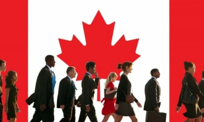 Канада має унікальний шанс зупинити відтік мозків