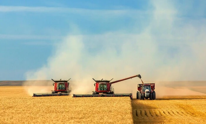 Врожайність пізніх культур у Вінницькій області