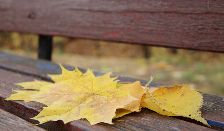 Meteorologist forecasts the weather for the weekend