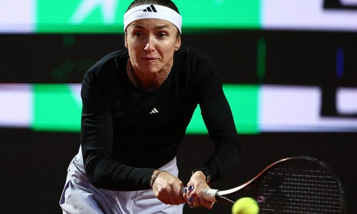 Світоліна програла на турнірі в Німеччині