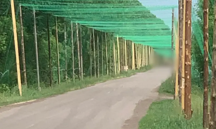 Тисячі кілометрів антидронових коридорів українських інженерів