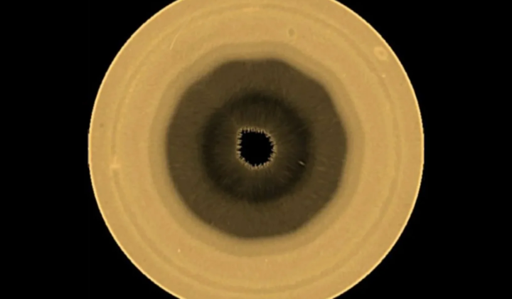 Giant decagon near Saturn's south pole