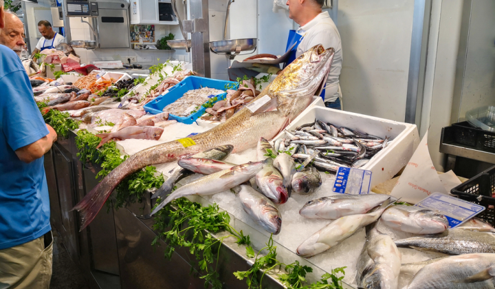 Tuna or mackerel: healthy choice
