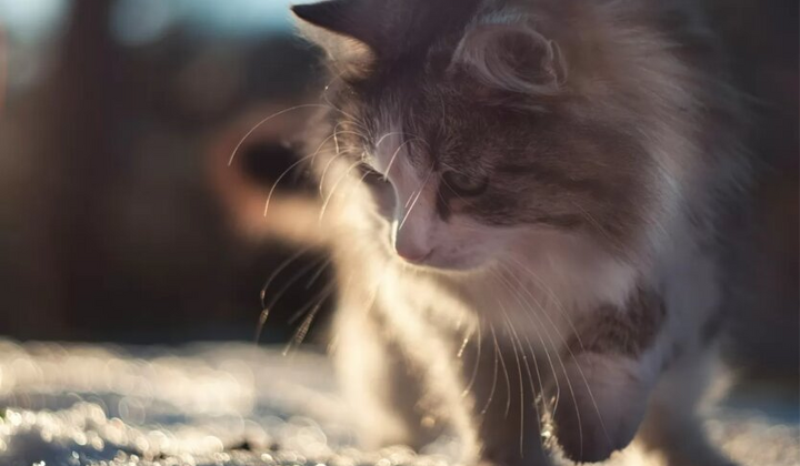 Тепло до +16, але з неприємним нюансом: погода в Україні