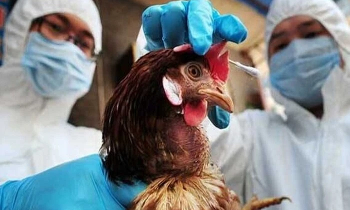 Смерть від тяжкого пташиного грипу