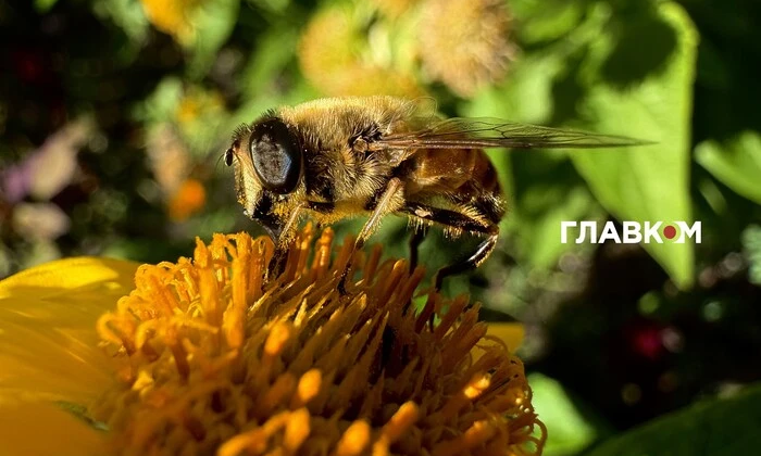 Україна, хмарно, без опадів, 22 вересня 2025