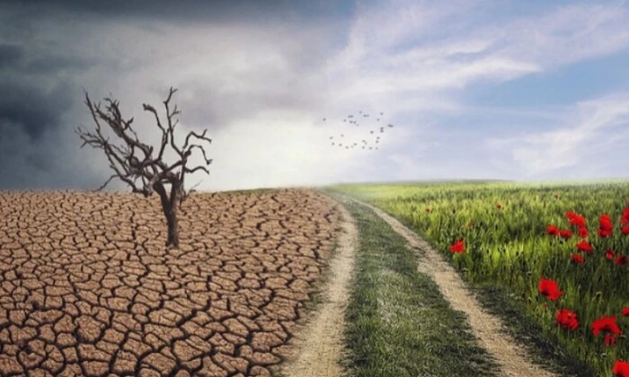 Графік зі збільшенням температур на протязі 2024 року