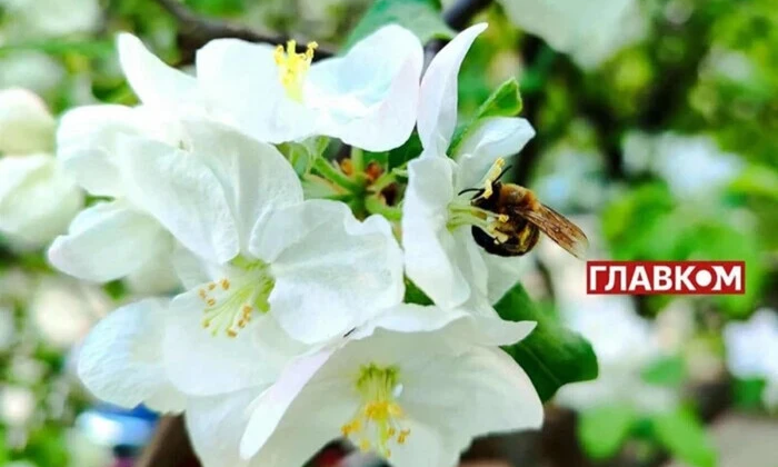 Прогноз погоди на 14 травня