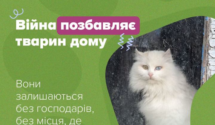 NBU and UAnimals fundraising for animals