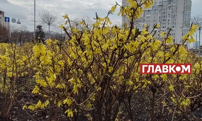 Прогноз погоды. 16 апреля. Переменная облачность
