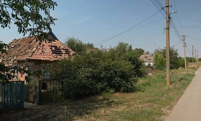 Jackal attacked a woman in the village