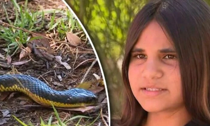 Medical response to snake bite