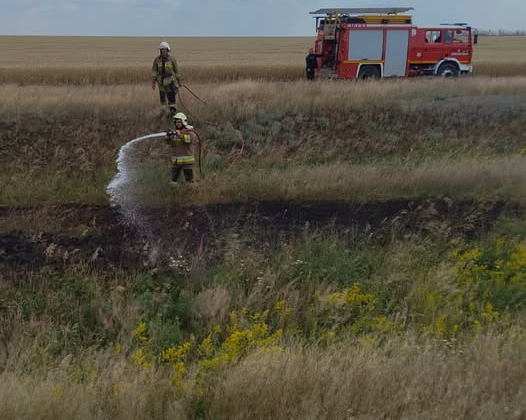 Пожары в экосистемах Украины