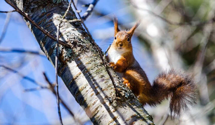 Снег и дожди на украинской земле