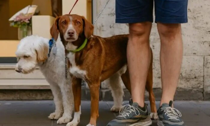 Податок для туристів у Італії