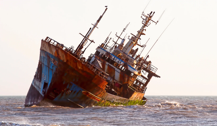 Bacterial mixture for ship protection