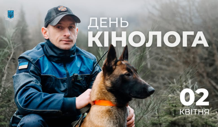 Изображение служебных собак МВД на работе