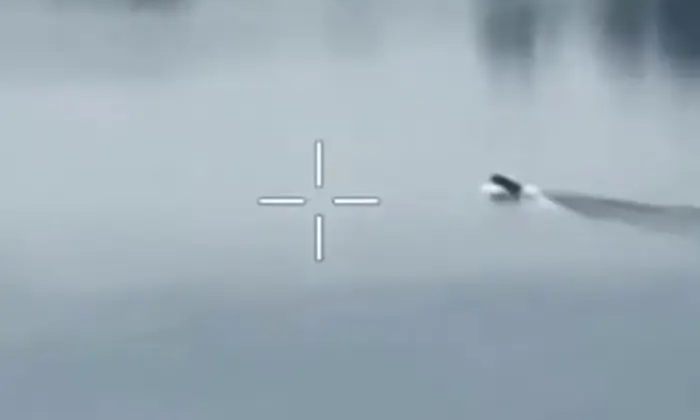 Оборона знищила човен з десантом