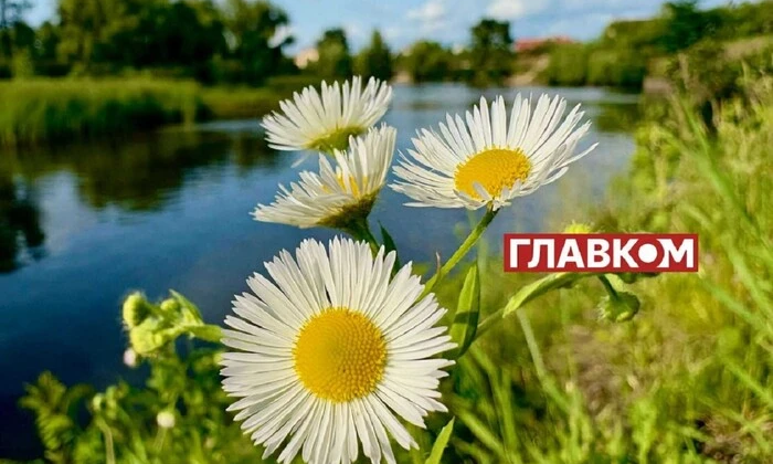 Жара над Украиной