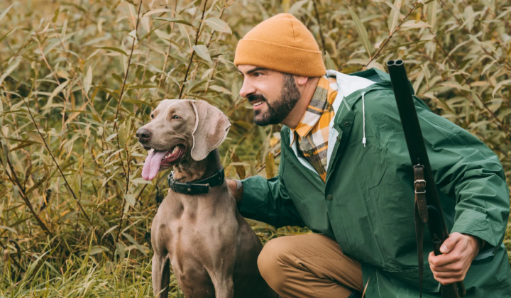 dog and human communicate through body language