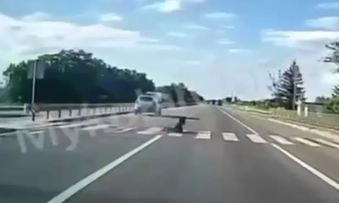 Патрульна поліція збила неповнолітнього в Львівщині