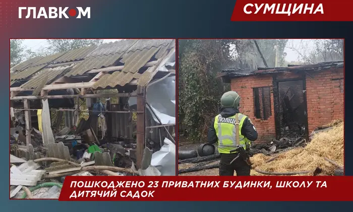 Поранена 8-річна дівчинка від атаки