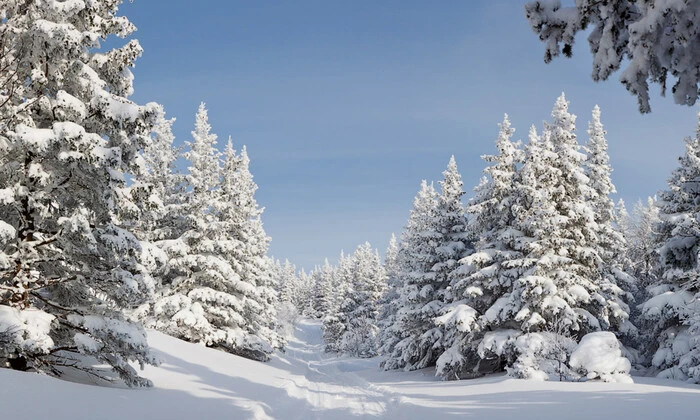 Україна в центрі зимового похолодання