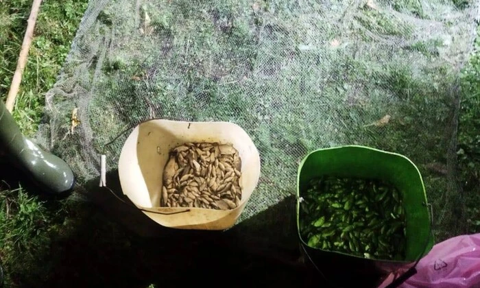 Браконьєр наловив карасів на Вінниччині