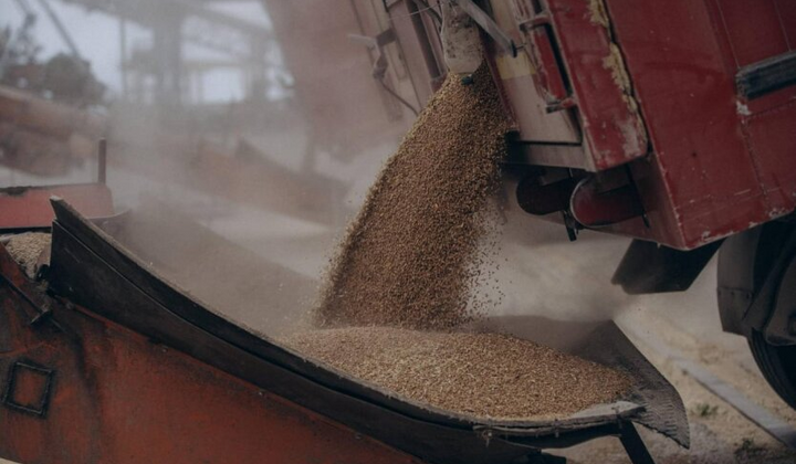 Украина уменьшила экспорт АПК в сентябре