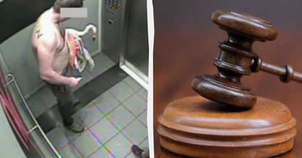 Canadian tourist faces up to 5 years in prison