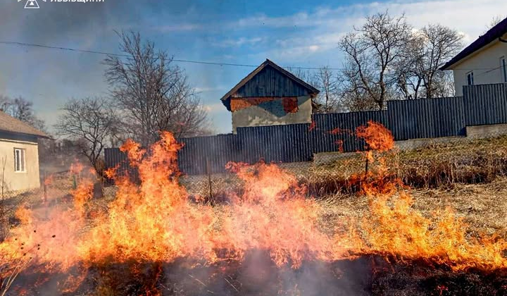 Пожежа знищила 92 тисячі га землі