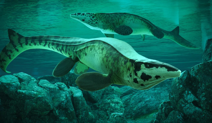Гігантський морський хижак Tylosaurus rex