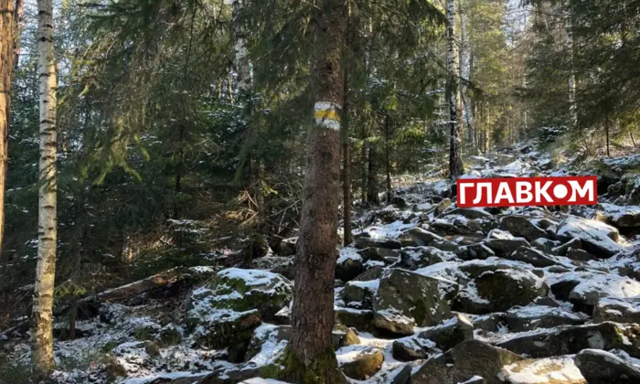 Сніг та заморозки. Негода наближається!