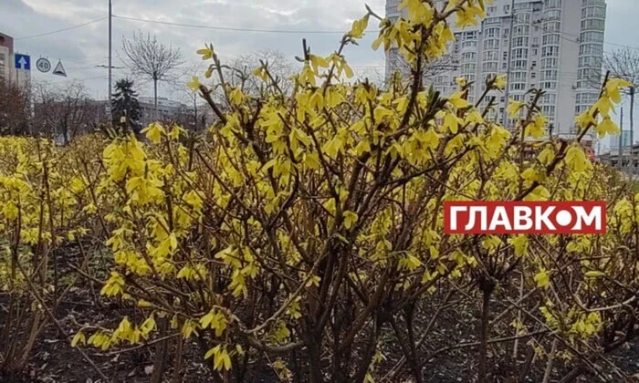 У повітрі хмари з проясненнями