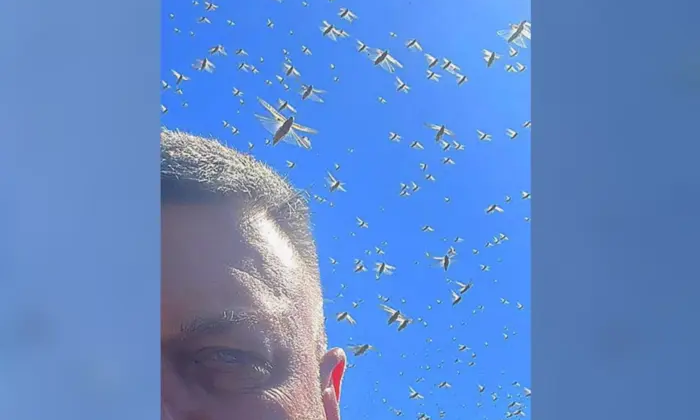 Олег Тягнибок обнаружил вредителей в Запорожской области