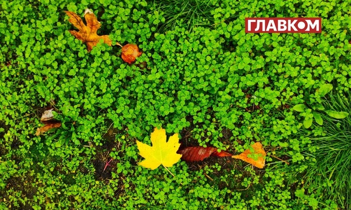 Погода на 2 жовтня 2025