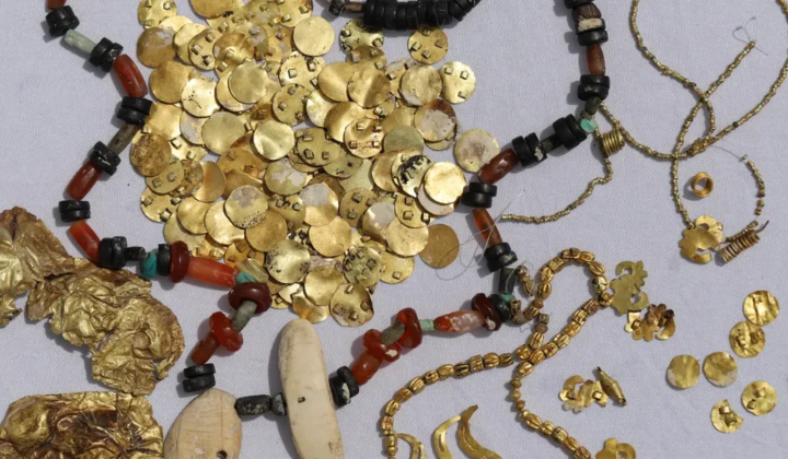 Scythian elite examines DNA results