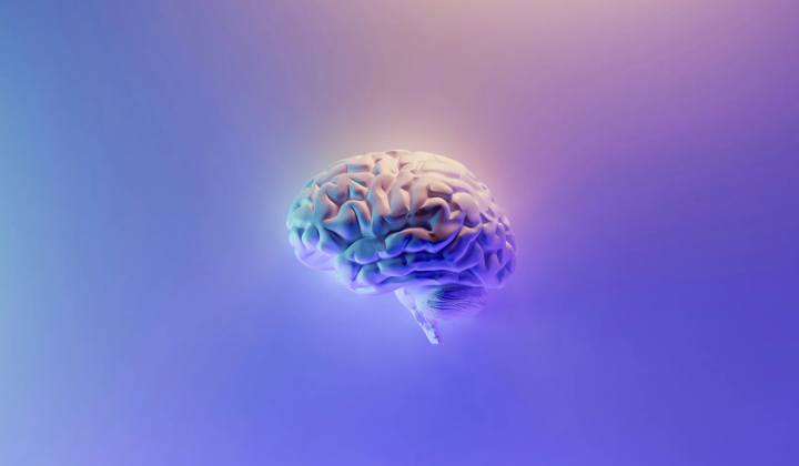 Mitochondrial plaques in Alzheimer's patients' brains