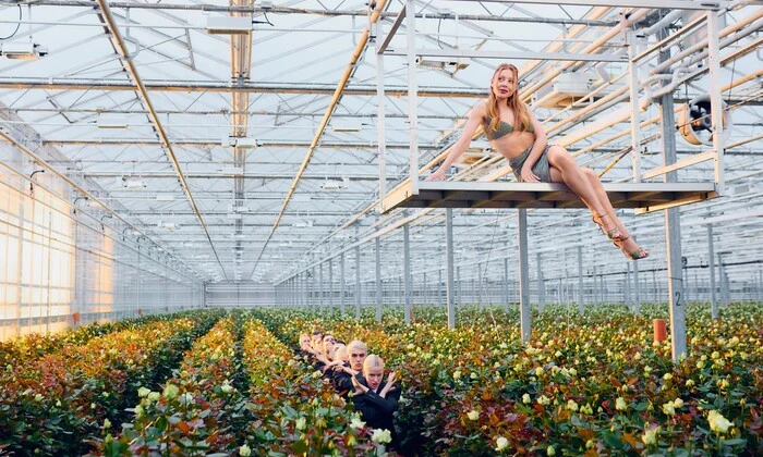 Тіна Кароль у теплиці