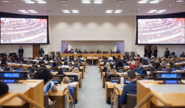 Ukraine's 'sofiynist' at UN Summit